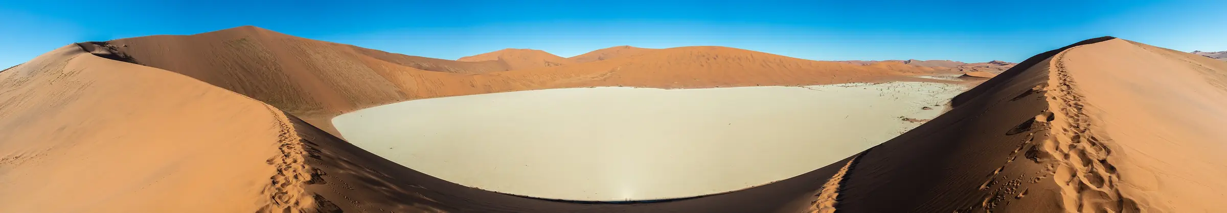 Panorama of dead trees in a cracked white pan between dunes